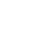 Sync Icon