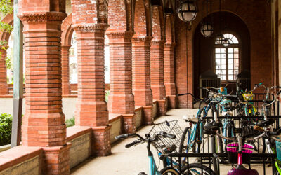 CustomViewbook offers a way forward for struggling small colleges